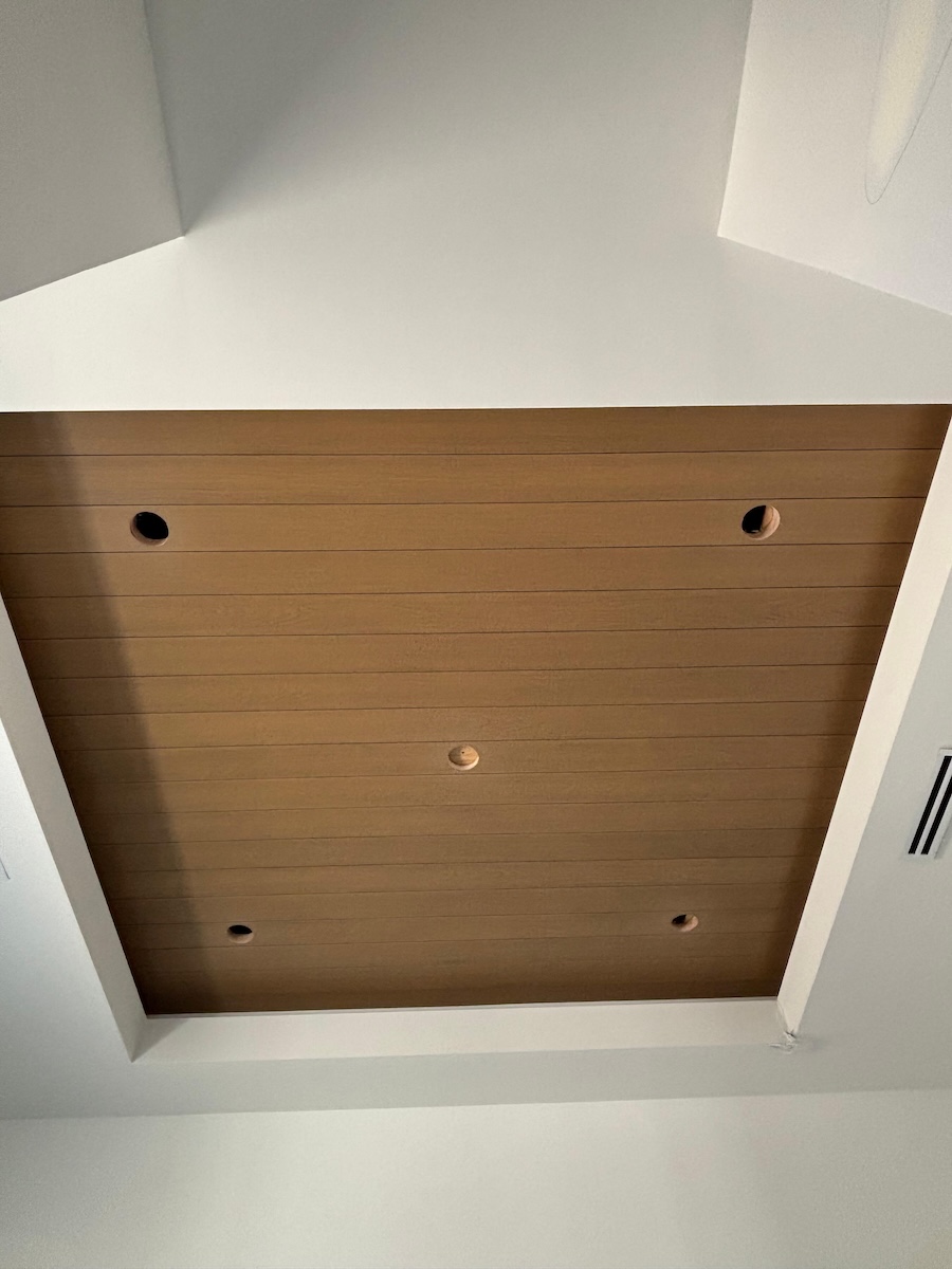 Interior Ceiling Accents 2